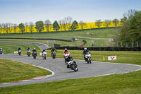 cadwell-no-limits-trackday;cadwell-park;cadwell-park-photographs;cadwell-trackday-photographs;enduro-digital-images;event-digital-images;eventdigitalimages;no-limits-trackdays;peter-wileman-photography;racing-digital-images;trackday-digital-images;trackday-photos
